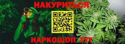 apvp Краснодар