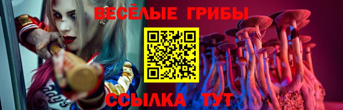Псилоцибиновые грибы GOLDEN TEACHER  Вход с VPN  Егорьевск 